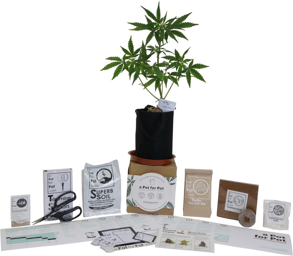 Weed growing kit with seeds