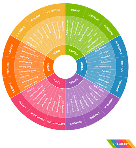 How Do Terpenes Affect The Human Body? | Sava