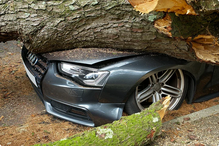 Automobilis apgadintas po nelaimės – ant jo užvirtęs medis. Nuotrauka iliustruoja eismo įvykius ir galimus nuostolius, kuriuos gali padengti draudimas.