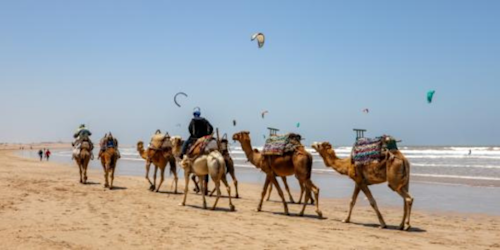 Top 10 Esaaouira p24