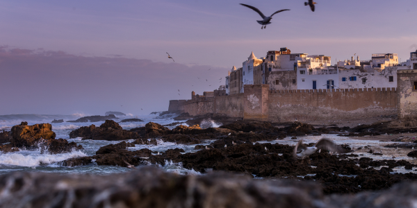 TOP 10  Essaouira 2