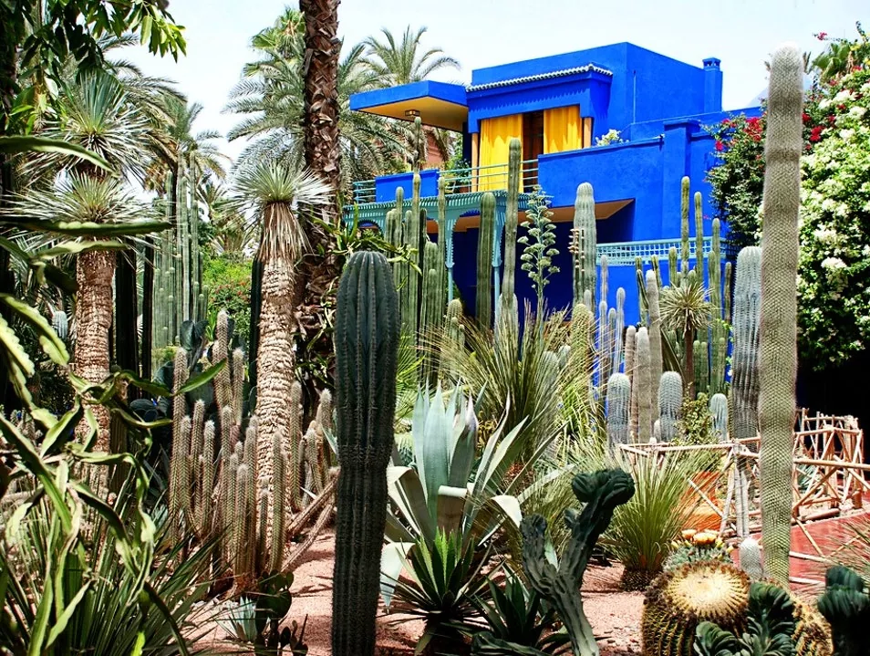 jardin majorelle 1