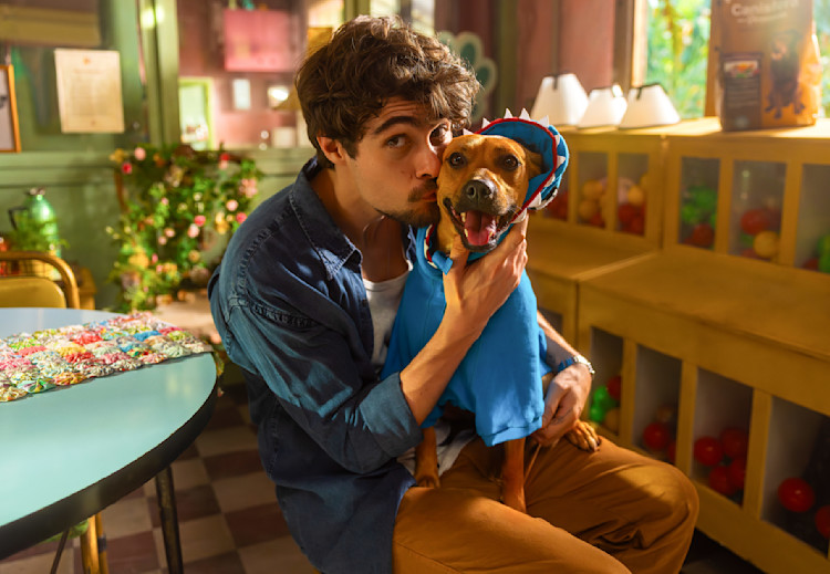 On National Stray Dog Day, Netflix Releases the First Images and Posters of  the Movie 'Caramelo' - About Netflix