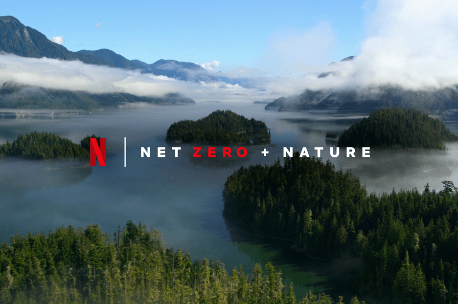 탄소 순 배출 제로, 이제 다시 자연으로: 기후 위기에 대처하는 넷플릭스의 약속