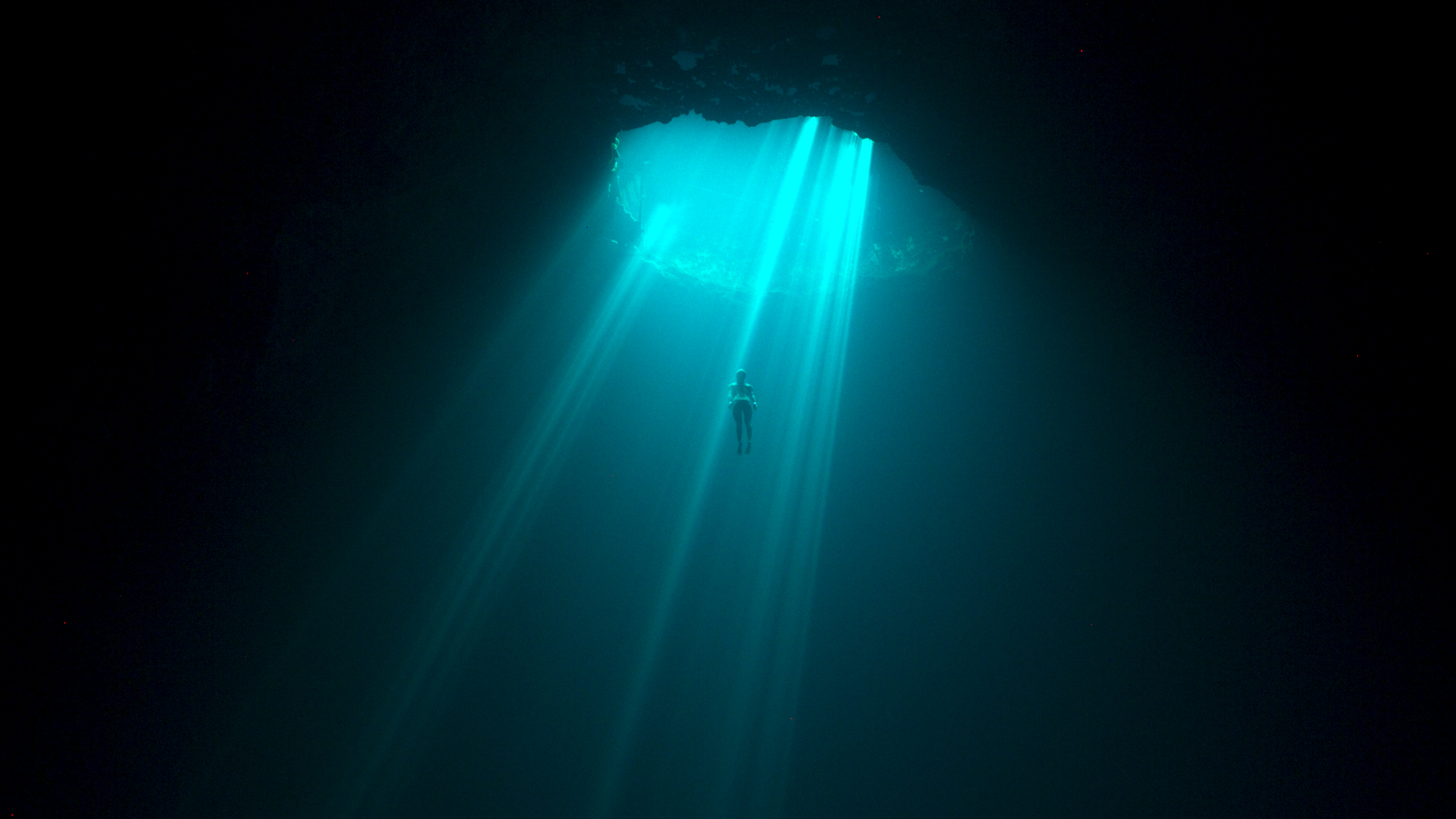 Netflix Acquires Captivating Freediving Documentary 'The Deepest Breath ...