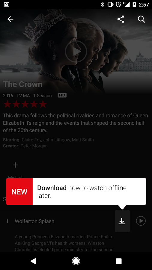 what is netflix download