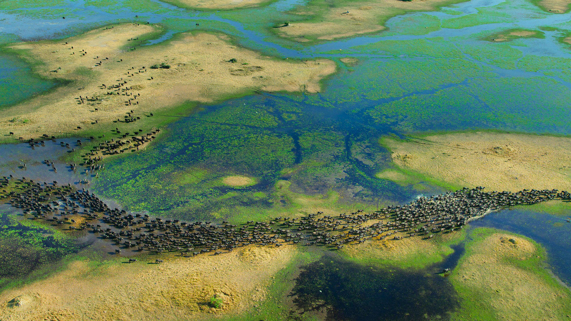 The Okavango Delta