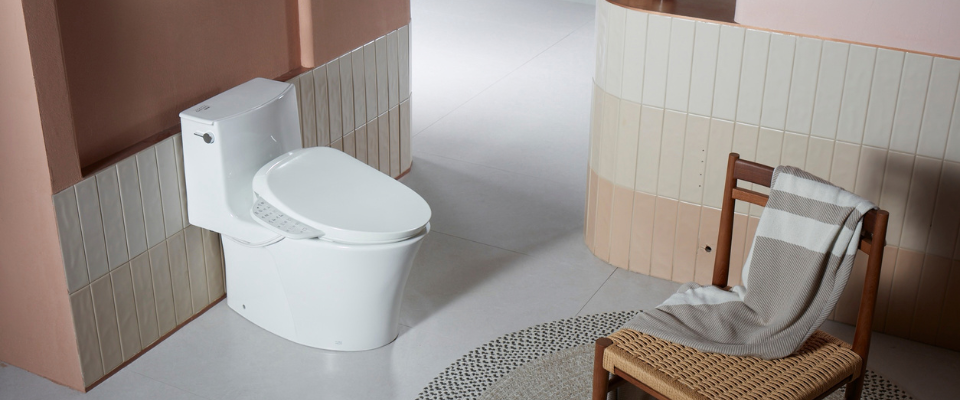 Fungsi dan jenis bidet