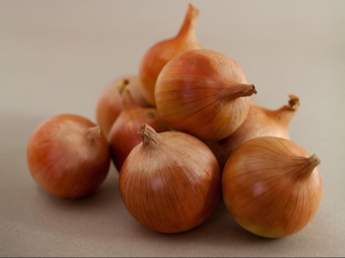 A New Onion Variety for the UK Market!