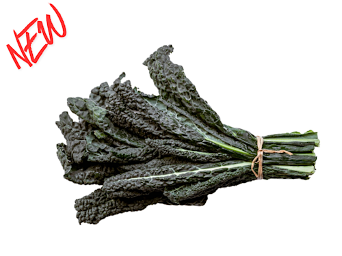 Great news for kale growers across the UK & Ireland!
