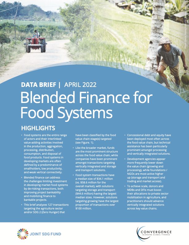 Blended Finance for Food Systems