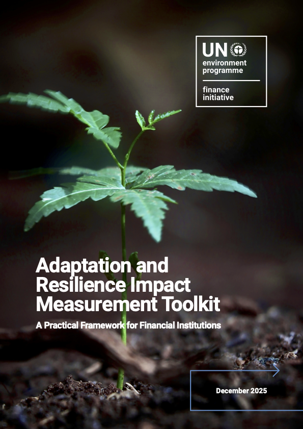 Adaptation and Resilience Impact Measurement Toolkit: A practical framework for financial institutions