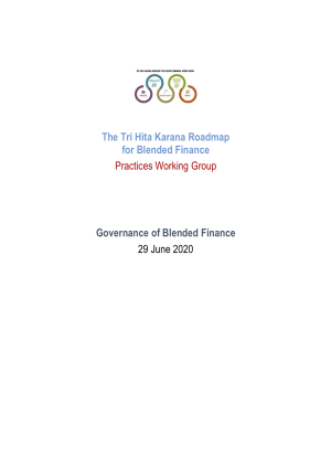 THK Practices Working Group: Governance of Blended Finance