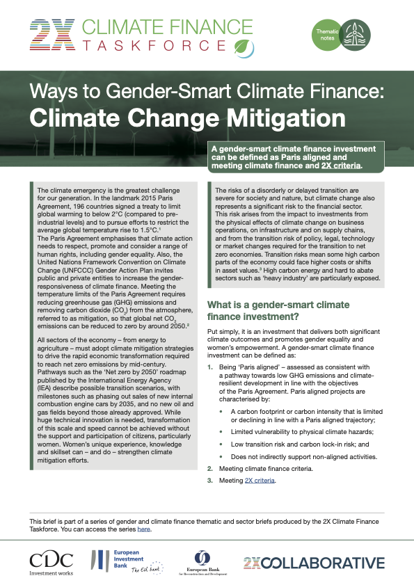  Ways to Gender-Smart Climate Finance: Climate Change Mitigation