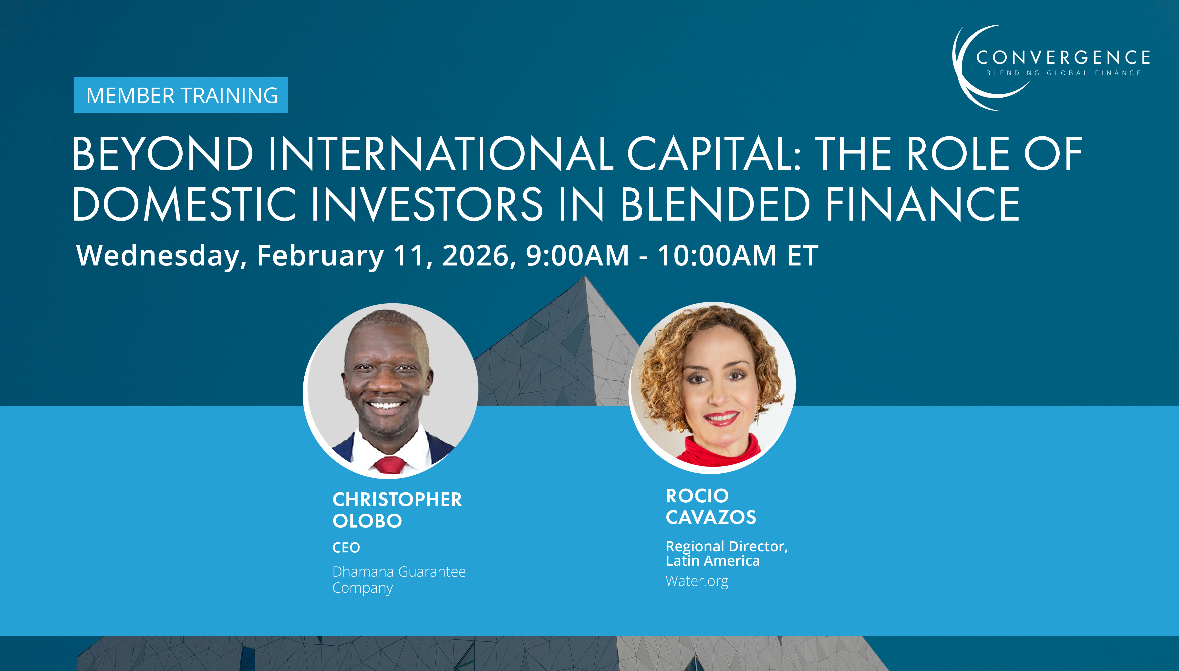 Member Training: Beyond International Capital - The Role of Domestic Investors in Blended Finance