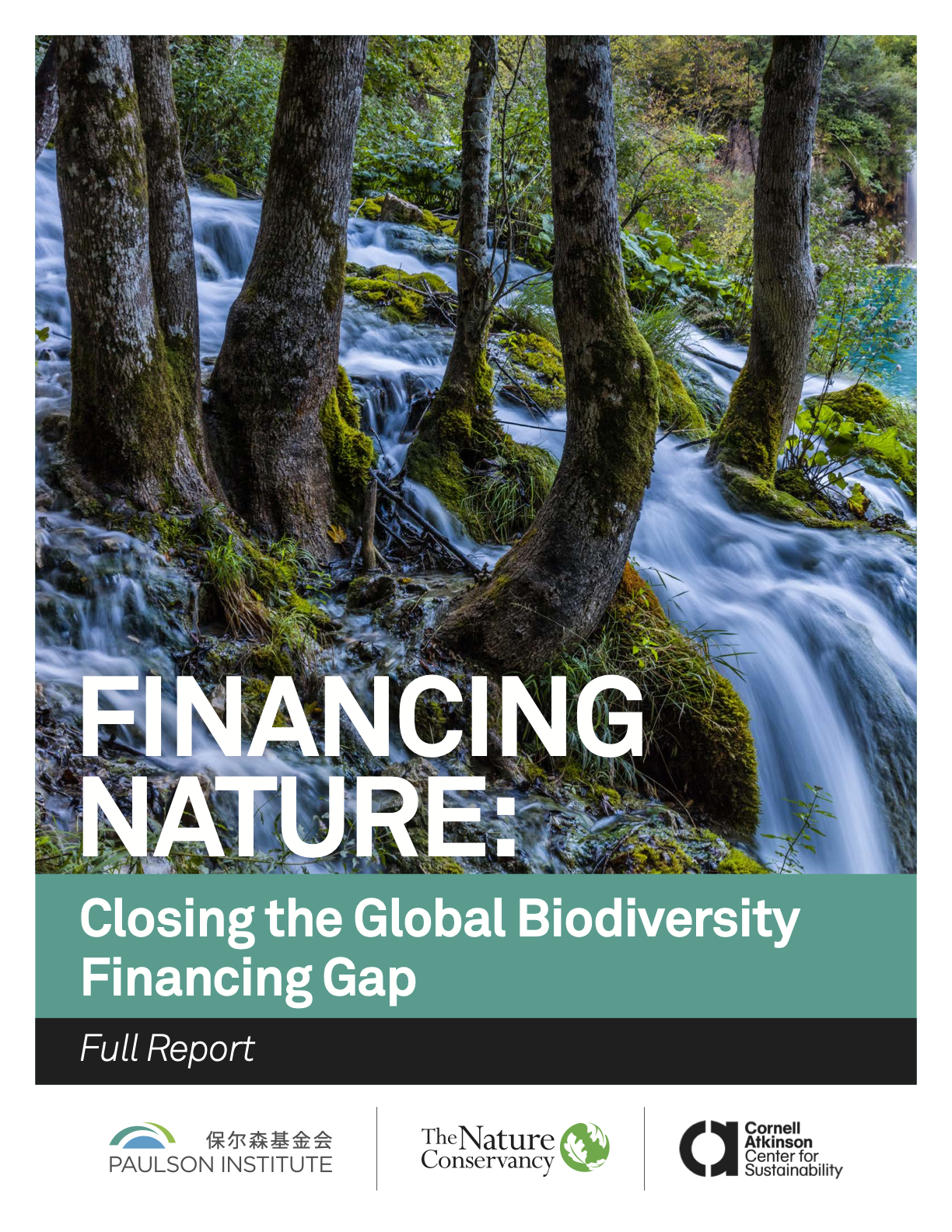 Financing Nature: Closing the Global Biodiversity Financing Gap