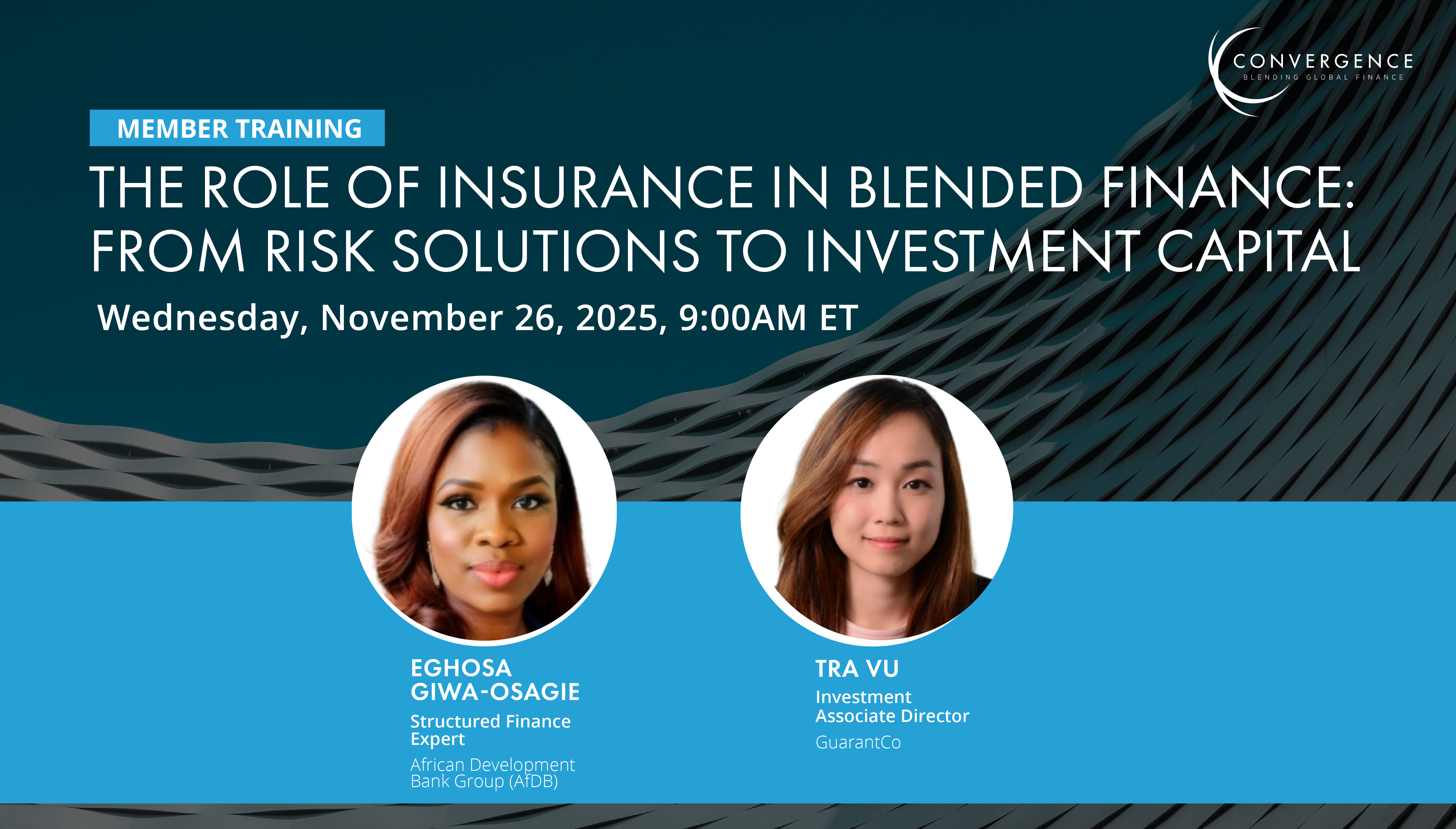 Member Training: The Role of Insurance in Blended Finance: From Risk Solutions to Investment Capital