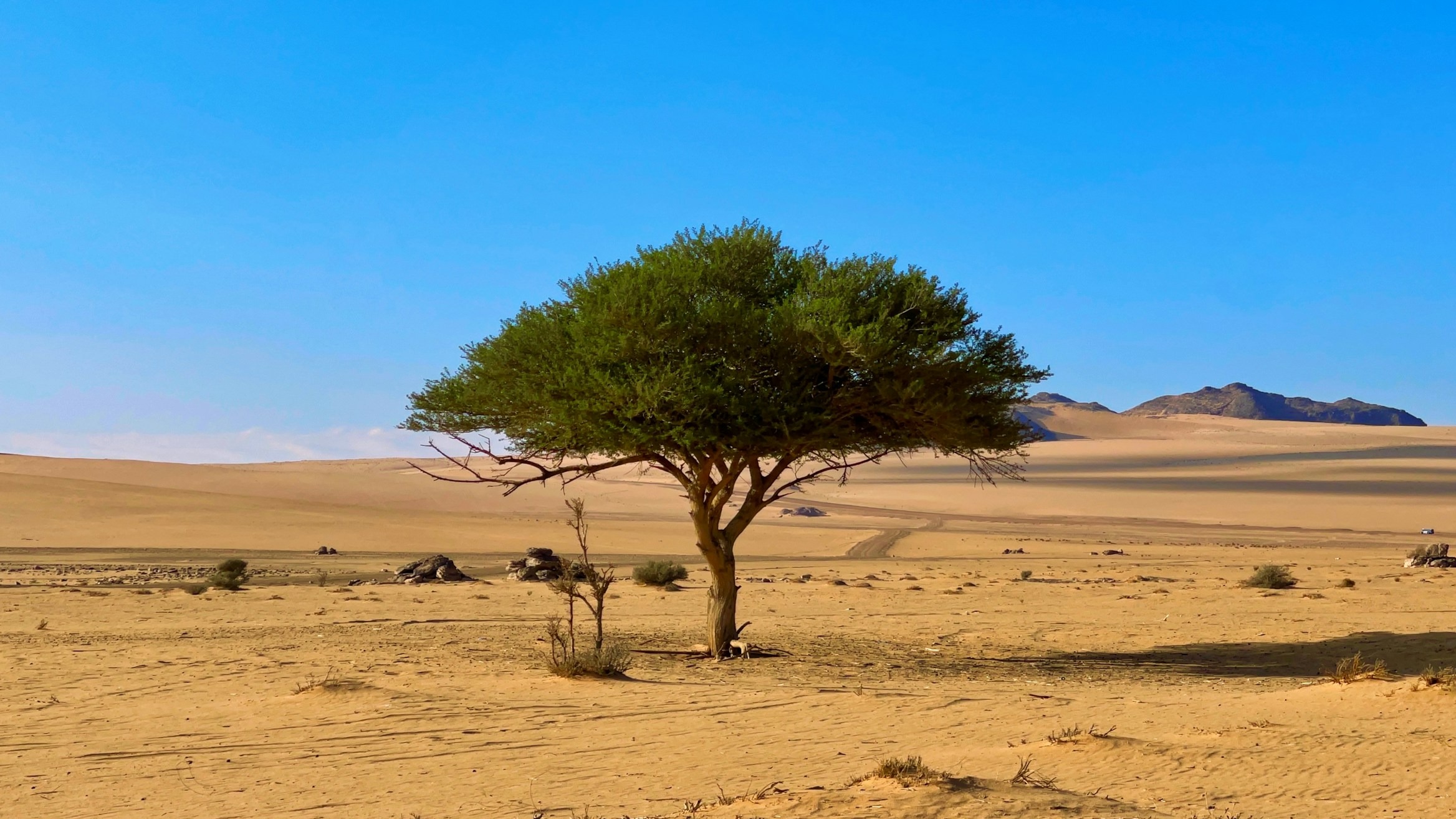 How are Sub-Saharan Africa's public institutions building their blended finance capacity?