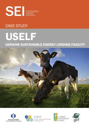Case Study: Ukraine Sustainable Energy Lending Facility