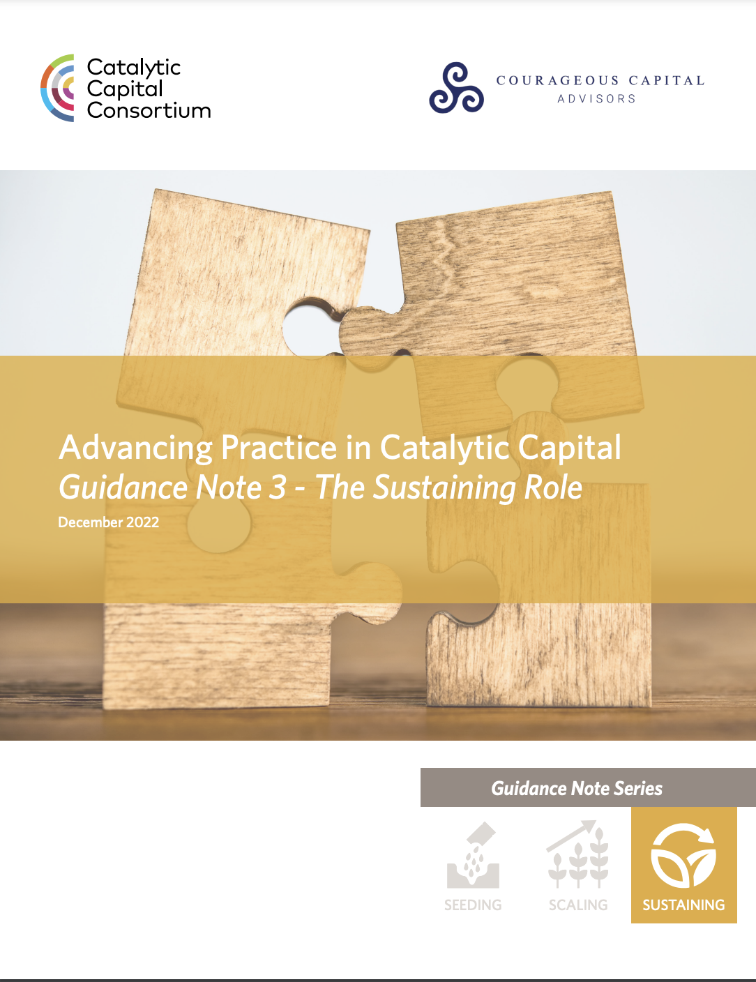 Advancing Practice in Catalytic Capital Guidance Note 3 - The Sustaining Role 