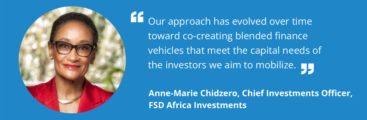 FSD Africa Investments Member Spotlight with Anne-Marie Chidzero