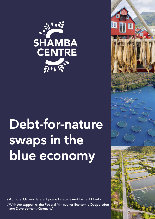 Debt-for-nature swaps in the blue economy