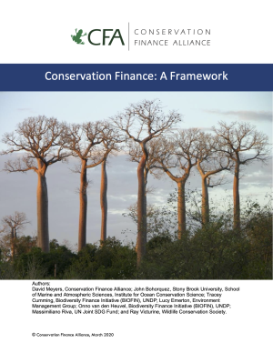 Conservation Finance: A Framework