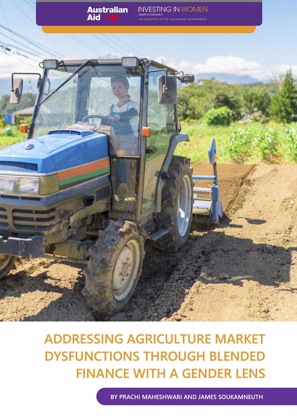 Addressing Agriculture Market Dysfunctions through Blended Finance with a Gender Lens 