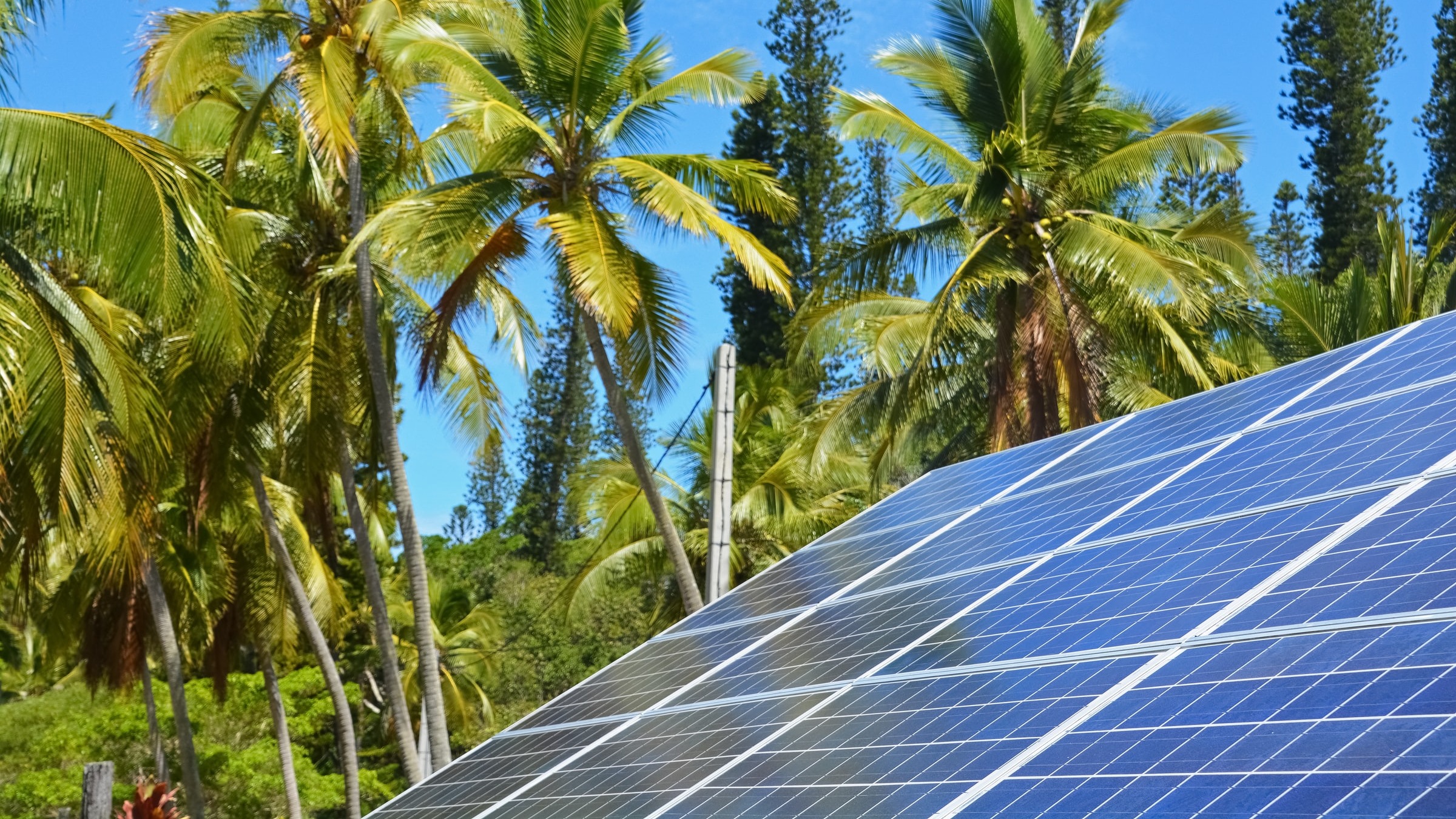 Pacific Island Countries must urgently transition to renewable energy