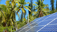 Pacific Island Countries Must Transition To Renewables Blog Pacific Island Countries Must Transition To Renewables Blog