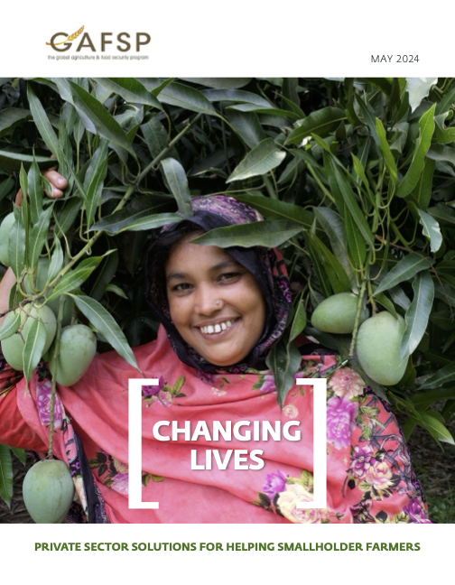 Changing Lives: Private Sector Solutions for Helping Smallholder Farmers