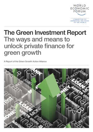 The Green Investment Report: The Ways and Means to Unlock Private Finance for Green Growth