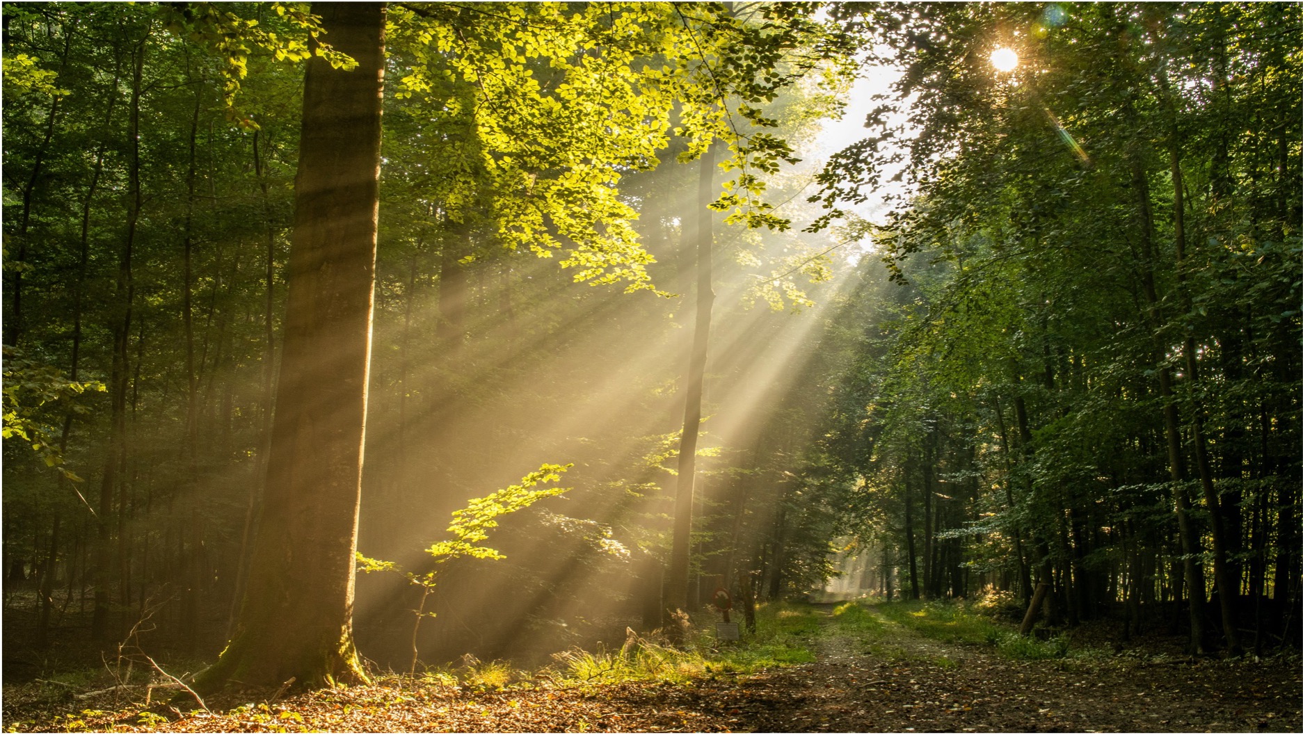 Disclosure: The low-cost reform to scale blended finance