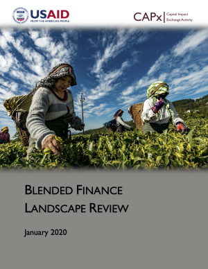 Blended Finance Landscape Review