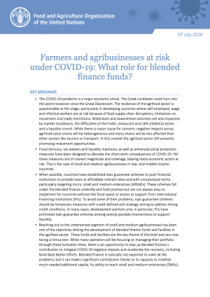 Farmers and agribusinesses at risk under COVID-19: What role for blended finance funds?
