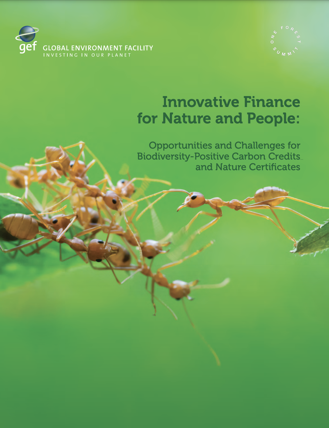 Innovative Finance for Nature and People: Opportunities and Challenges for Biodiversity-Positive Carbon Credits and Nature Certificates 