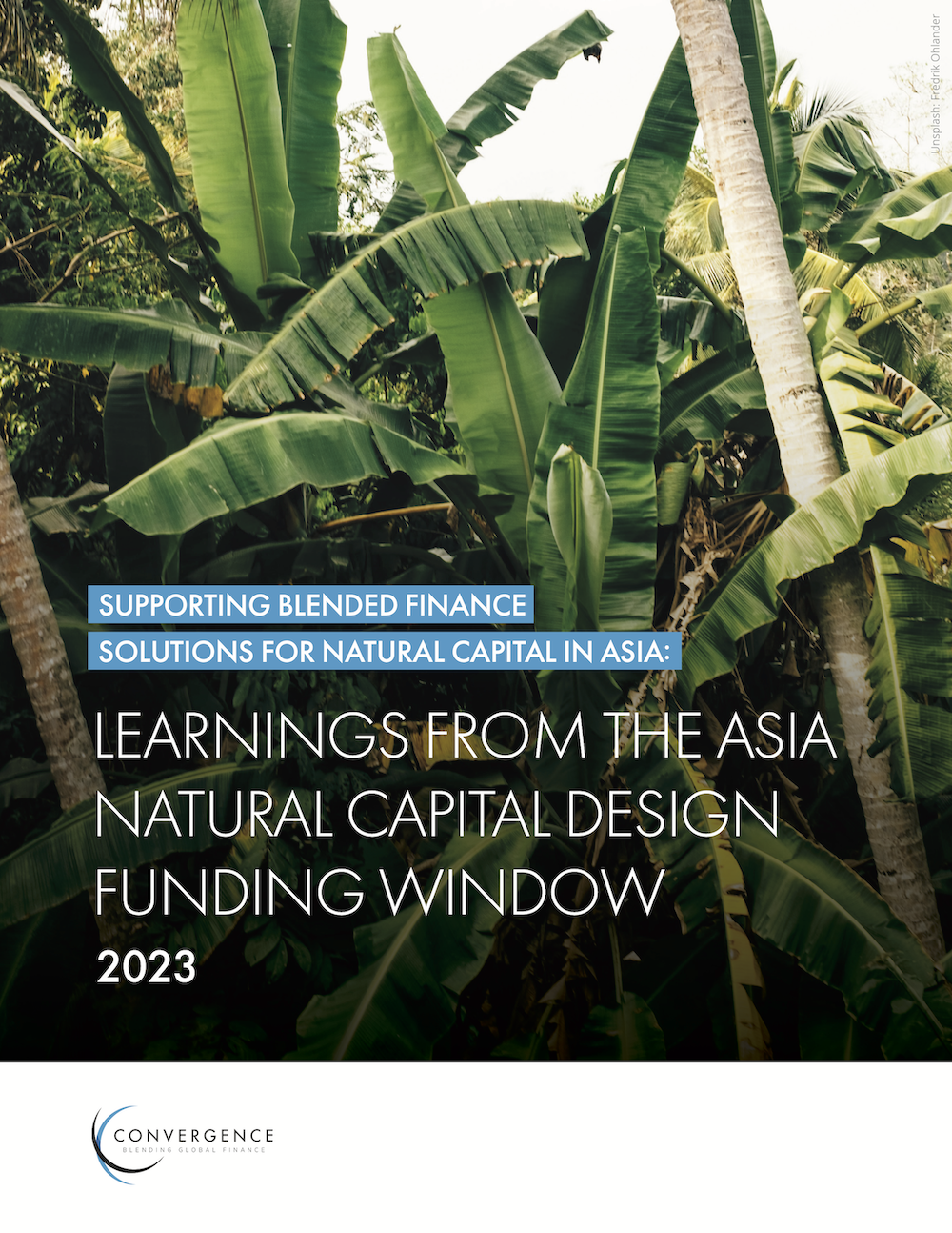 Supporting Blended Finance Solutions for Natural Capital in Asia: Learnings from the Asia Natural Capital Design Funding Window