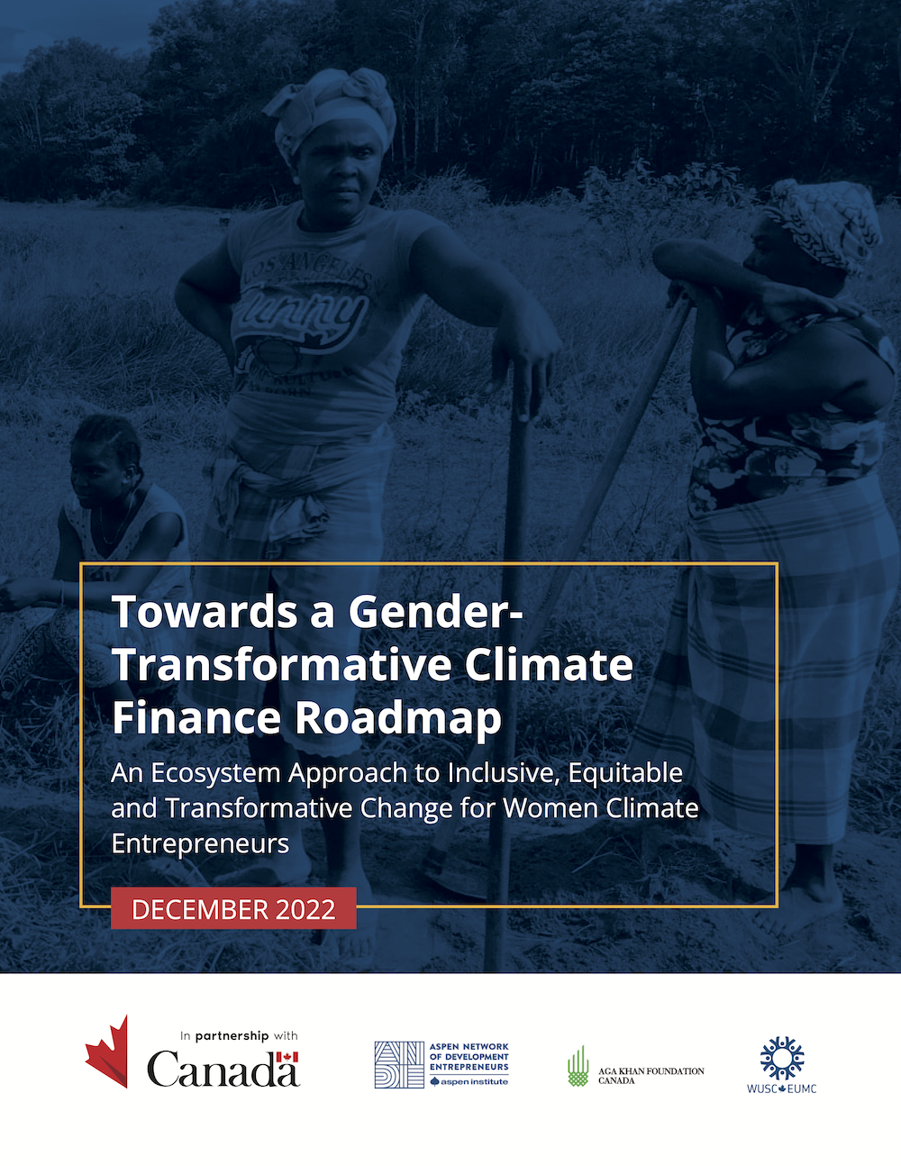 Towards a Gender Transformative Climate Finance Roadmap 