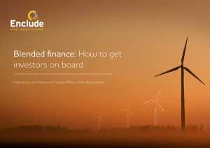 Blended Finance: How to Get Investors On Board