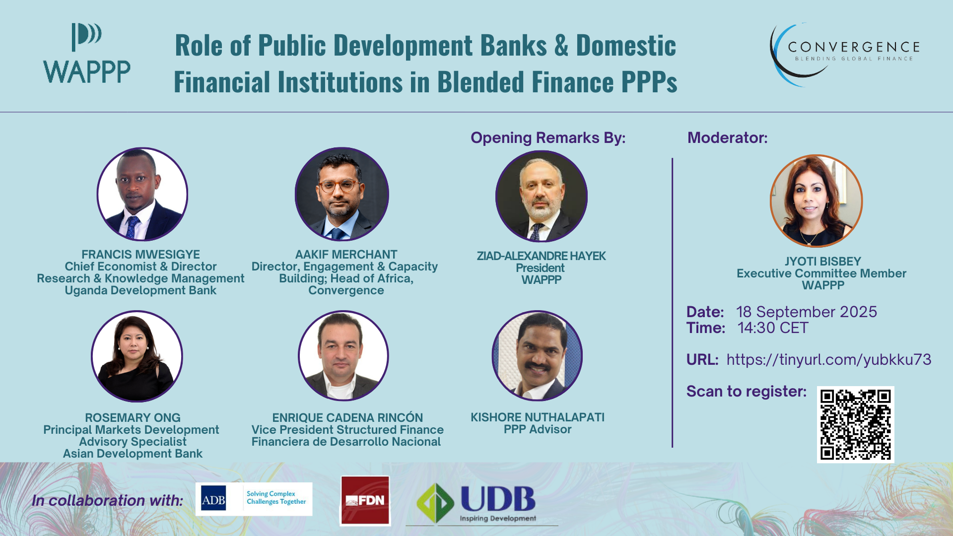 Role of Public Development Banks & Domestic Financial Institutions in Blended Finance PPPs