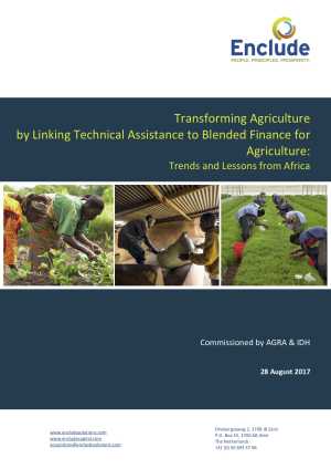 Transforming Agriculture by Linking Technical Assistance to Blended Finance for Agriculture: Trends and Lessons from Africa