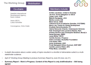 Mobilisation Working Group – Technical Workshop June 30 (Video Recording)