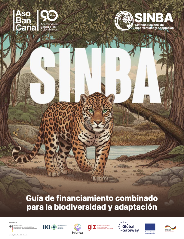 Guía de financiamiento combinado para la biodiversidad y adaptación en Colombia