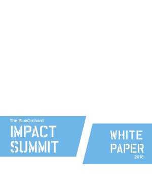 The BlueOrchard Impact Summit White Paper