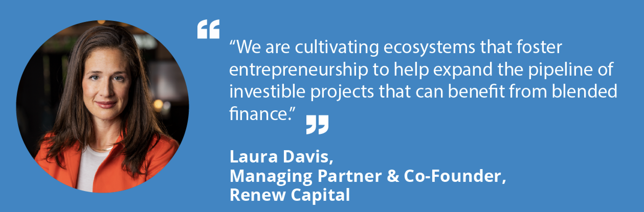 Renew Capital Member Spotlight with Laura Davis