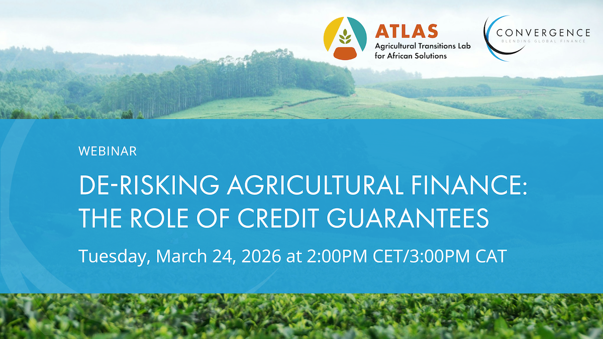 De-risking Agricultural Finance: the Role of Credit Guarantees