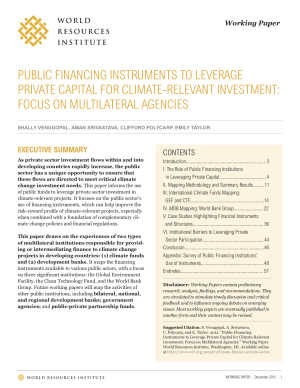 Public Financing Instruments to Leverage Private Capital for Climate-Relevant Investment: Focus on Multilateral Agencies