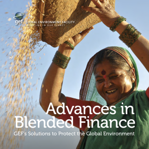 Advances in Blended Finance: GEF's Solutions to Protect the Global Environment