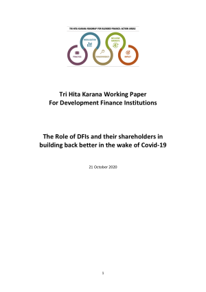 Tri Hita Karana Working Paper for Development Finance Institutions: The Role of DFIs and their shareholders in building back better in the wake of Covid-19