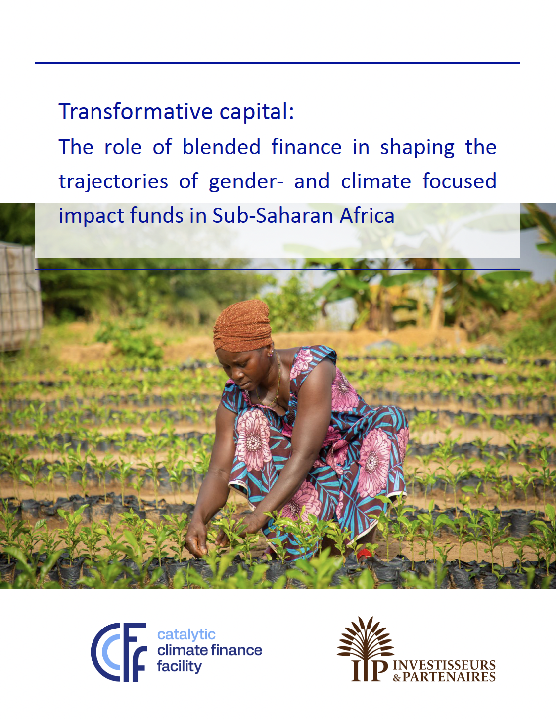 Transformative capital: The role of blended finance in shaping the ...